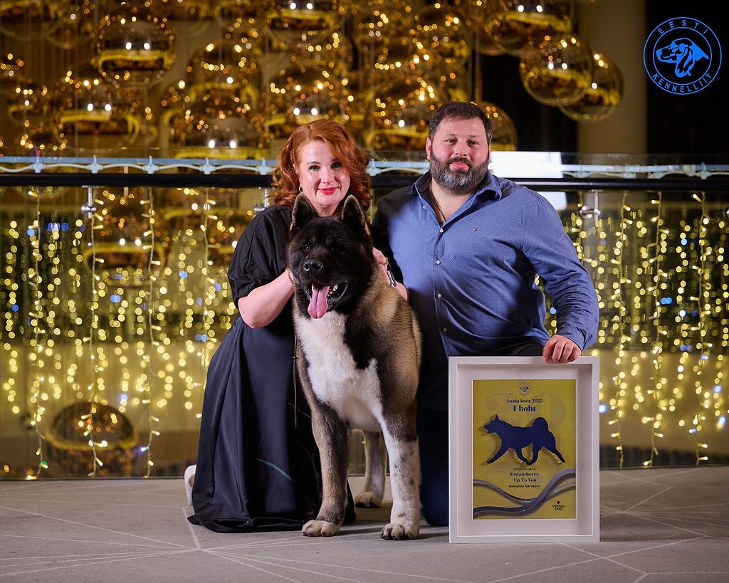 Aasta Koer 2025 — Dog of the Year ceremony at the EKL Gala