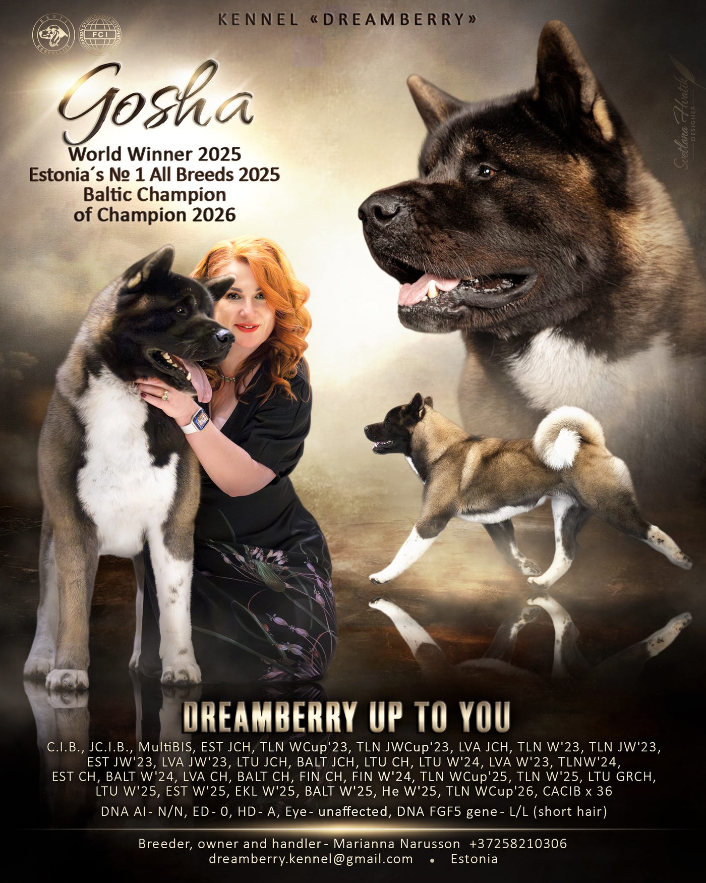 Official presentation poster of Dreamberry Up to You