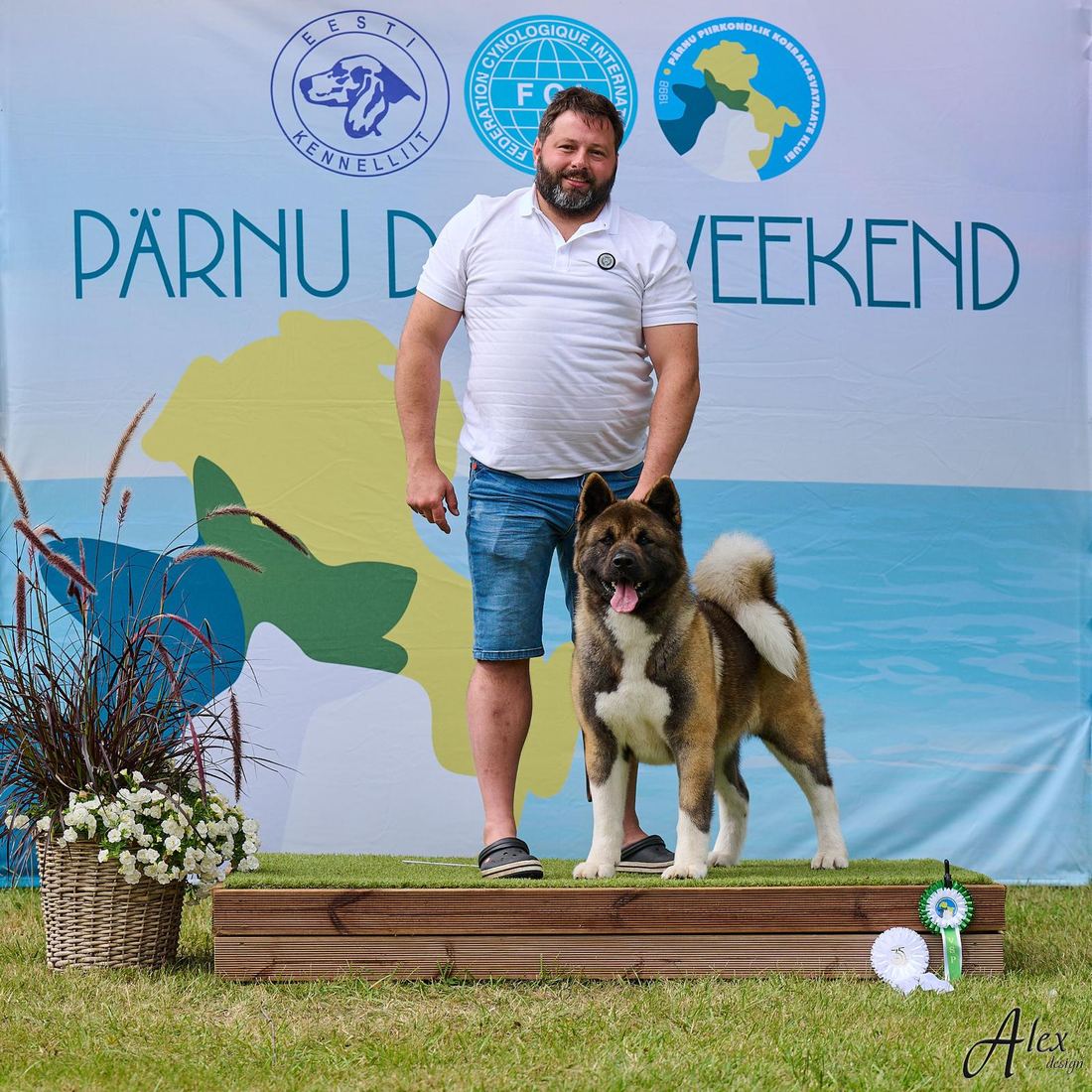 Dreamberry Uma Turman (Umka) with Oleg Narusson at Pärnu Dog Weekend