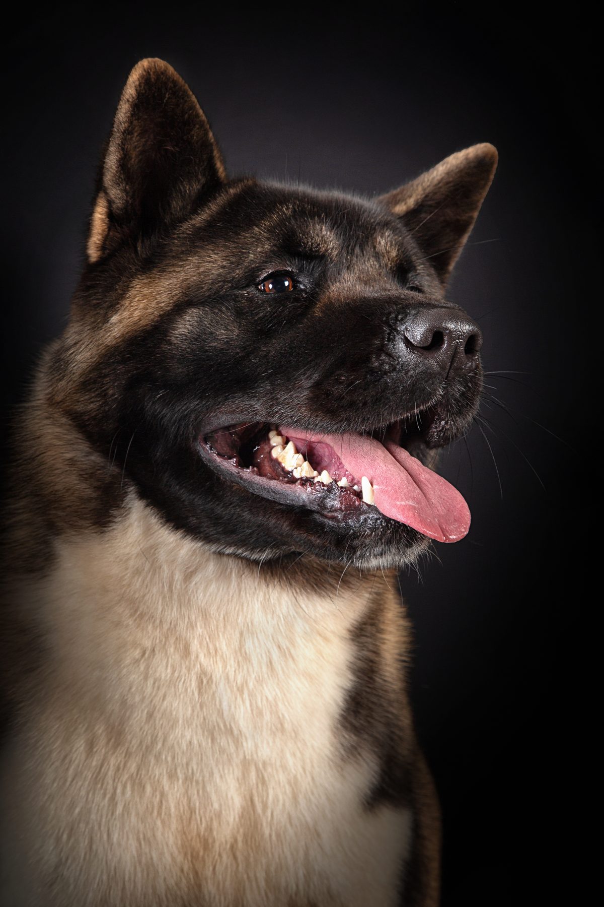 Dreamberry Valencia studio portrait