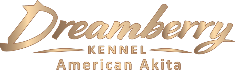 Dreamberry Kennel — American Akita