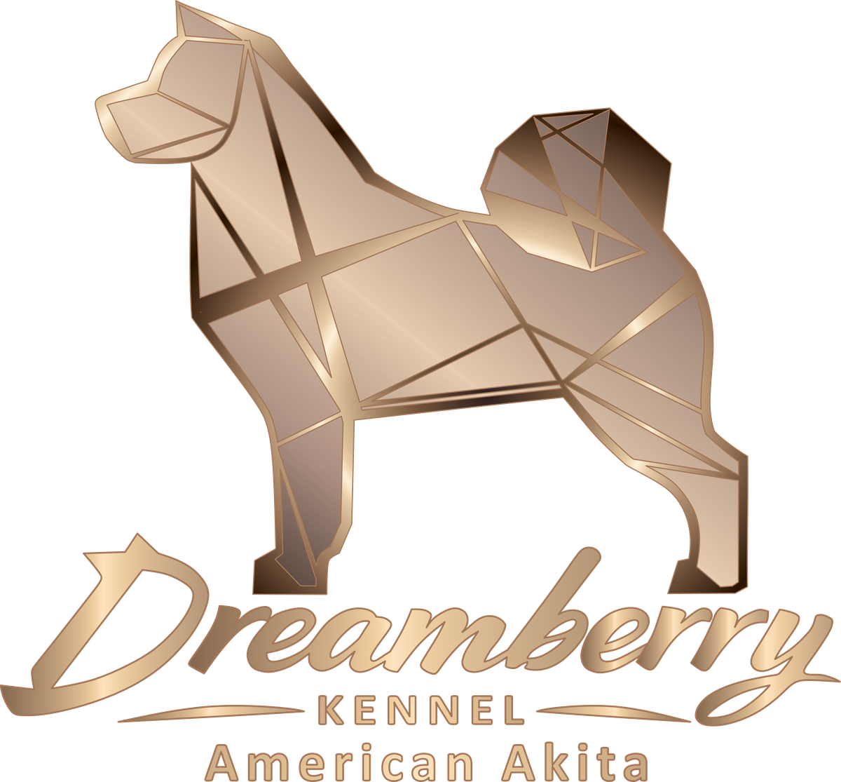 Dreamberry Kennel · American Akita