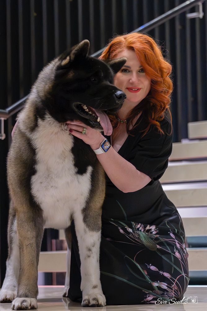 Marianna Narusson with an American Akita of Dreamberry Kennel